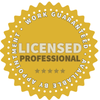 Licensed Professional